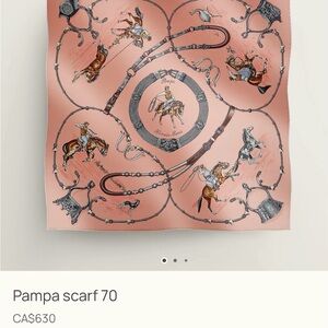 Hermes Pampa Scarf in Pink and Gray